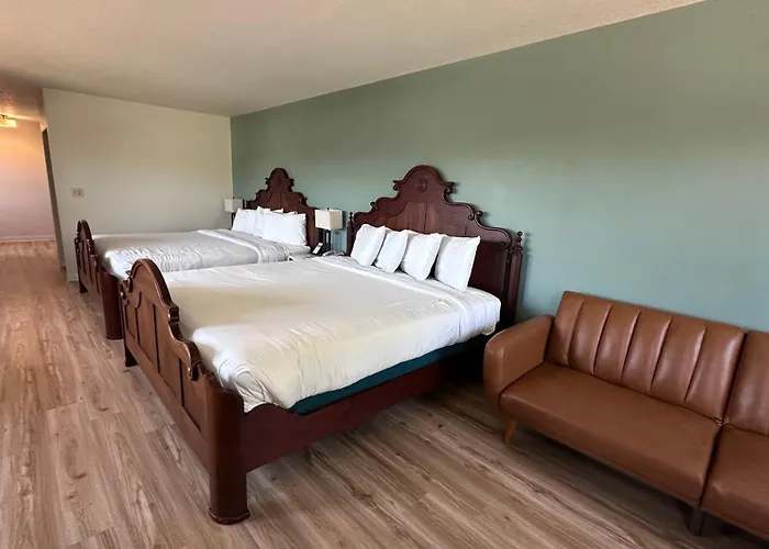 Motel The Shelby