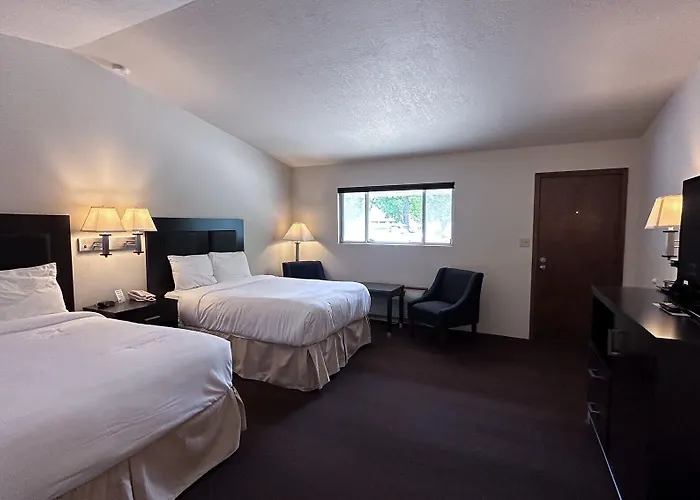 Motel The Shelby