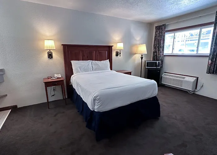 Motel The Shelby