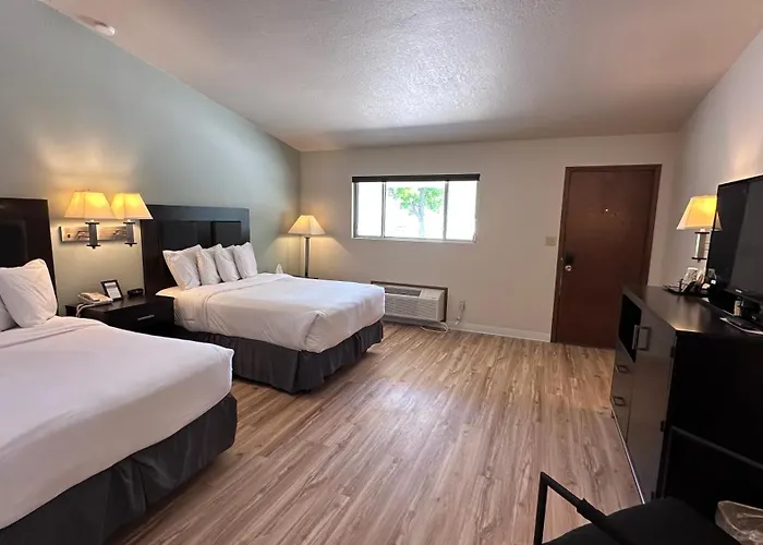 The Shelby Motel 2*
